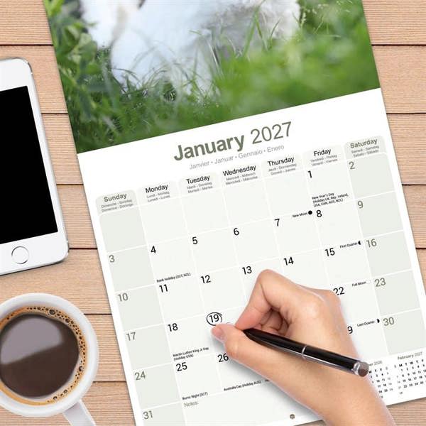 Maltese Calendar 2027, Wall Calendars, Month To View, Dogs, Gift