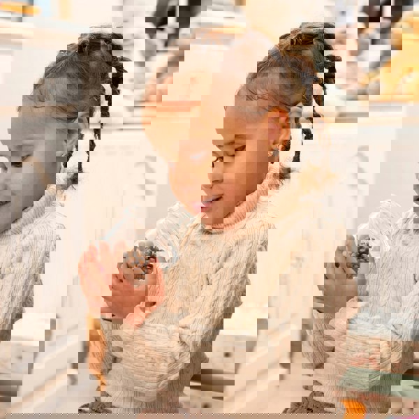 tickit Clear Bug Viewer