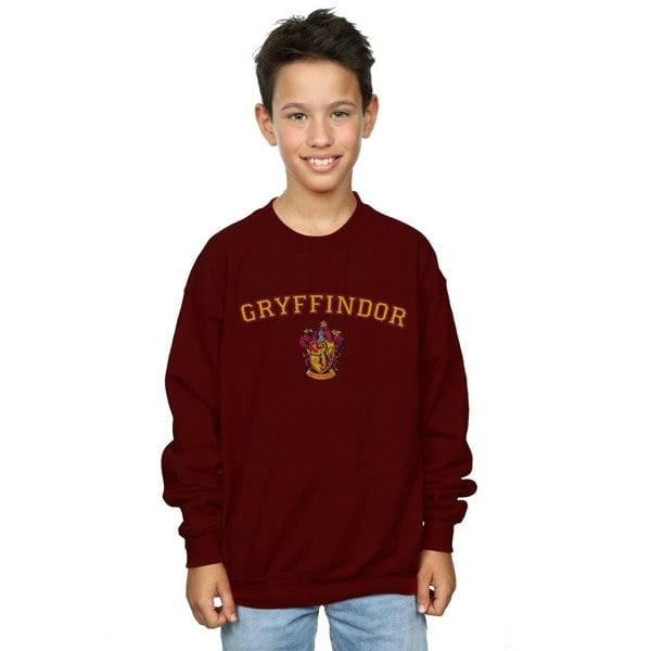 Harry Potter Boys Gryffindor Crest Sweatshirt - Burgundy