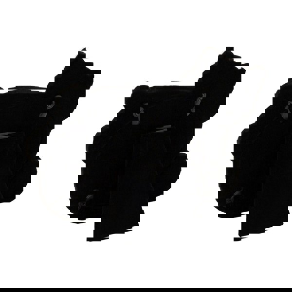 Fun Smiling Cat Themed Satin Silver Picture Frame with String Ball Image 4