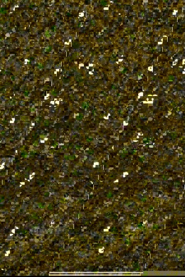 Multi Sequin & Velvet Bardot Midi Dress - Olive Green DR3550