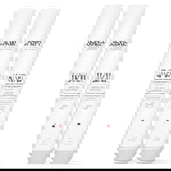 Goldwell Dual Senses Silver Shampoo Duo