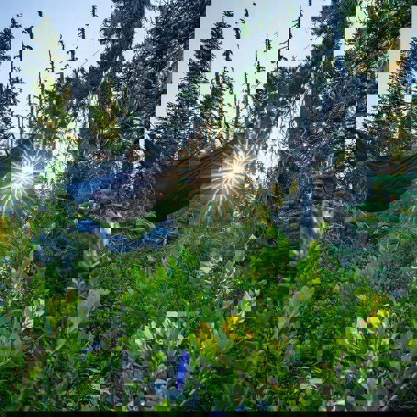 Skeeter Beeter XT Mosquito Net Hammock SB-XT-LS-01