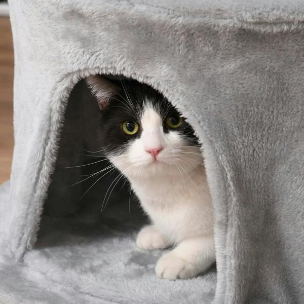 Grey plush cat tree condo with kitten sitting inside