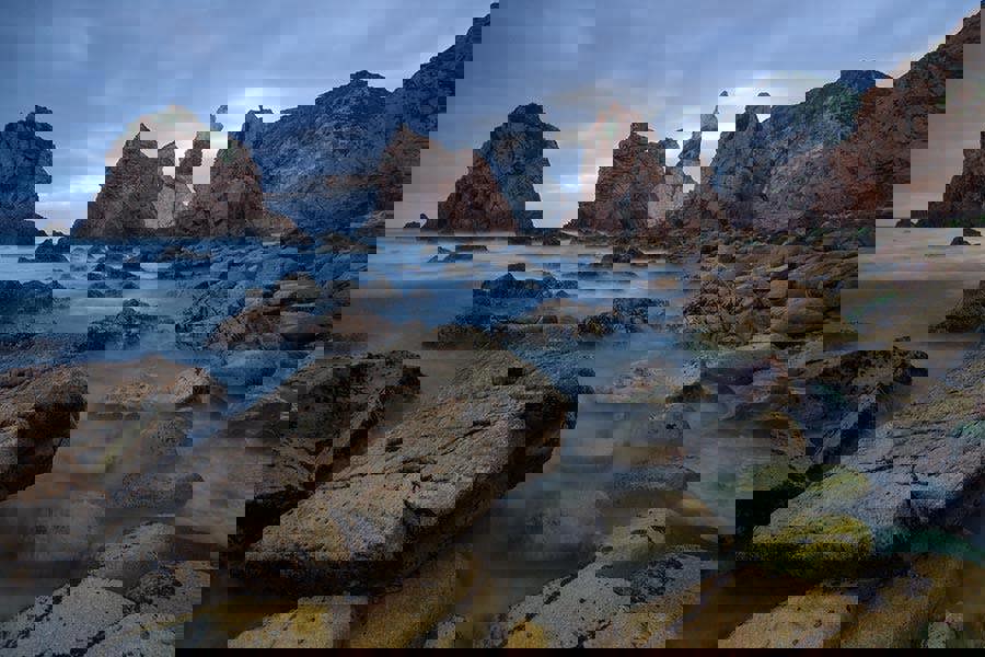 Fernlight Gallery Lost Beach