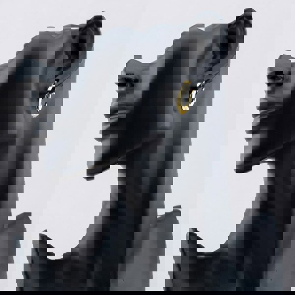 T. H. Baker Silver Gold Plated Oval Creole Hoop Earrings S3038