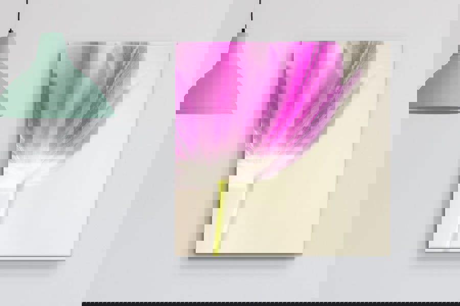 pink tulip flower printed on canvas or framed