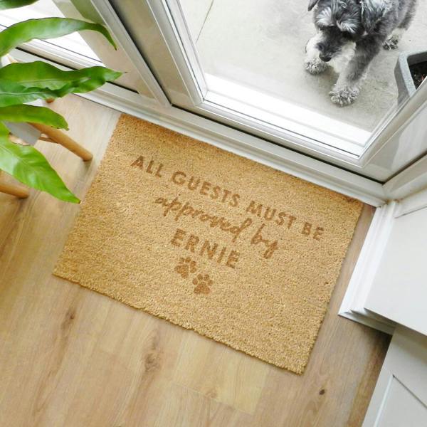 A natural coir doormat reading All Guests Must Be Approved By Ernie next to a grey dog looking through a glass door.