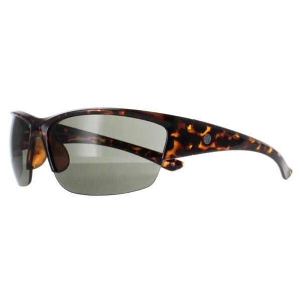 Smarty Sunglasses X2036 C Demi Brown Tortoise Green