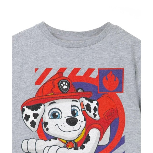 Paw Patrol Boys Marshall T-Shirt - Grey Marl