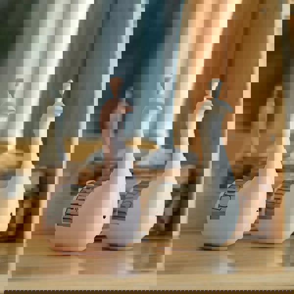 Leaper Remote-controlled Colorful Night Light Peacock Projection Lamp