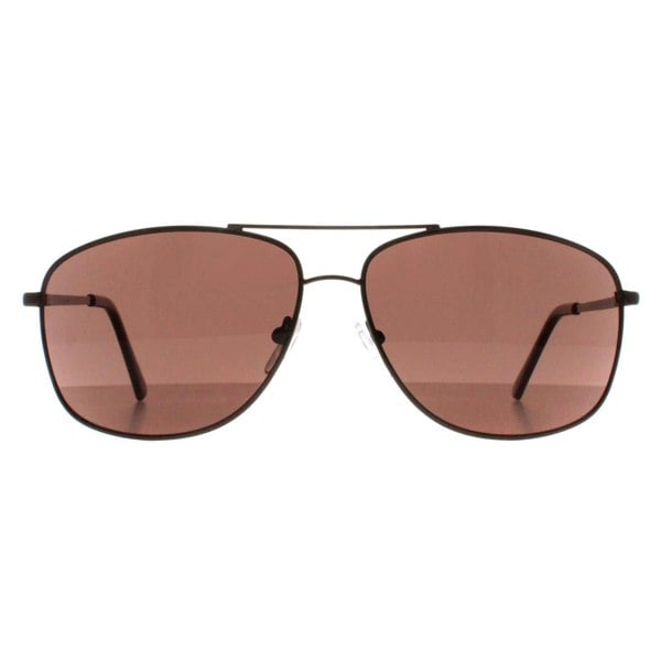 Calvin Klein Sunglasses CK19137S 200 Brown Brown