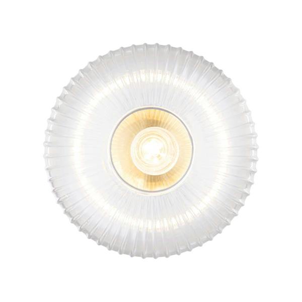 COSYLYTE Maple Modern Ribbed Glass Brass Ceiling Light