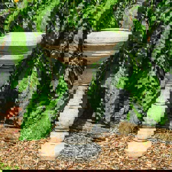 Bubble Design Birdbath