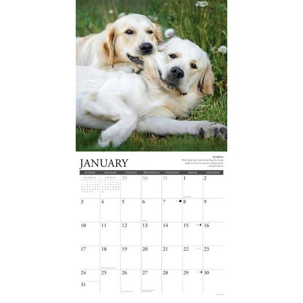 Golden Rules Calendar 2027, Wall Calendars, Month To View, Dogs, Gift