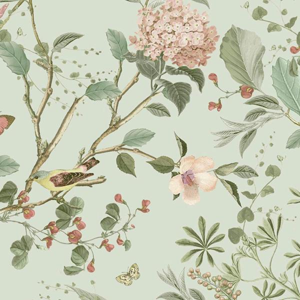 Next Sage Reflection Wallpaper