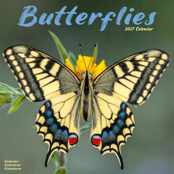 Butterflies Calendar 2027, Wall Calendars, Month To View, Animals, Gift