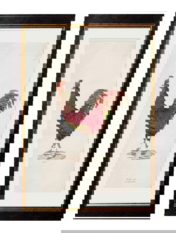 Exceptional Art c.1838 Junglefowl