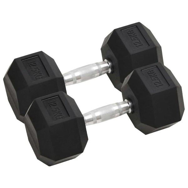 Berkfield Dumbbells 2 pcs 25 kg Cast Iron