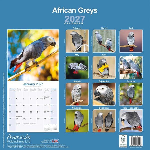 African Greys Calendar 2027, Wall Calendars, Month To View, Animals, Gift