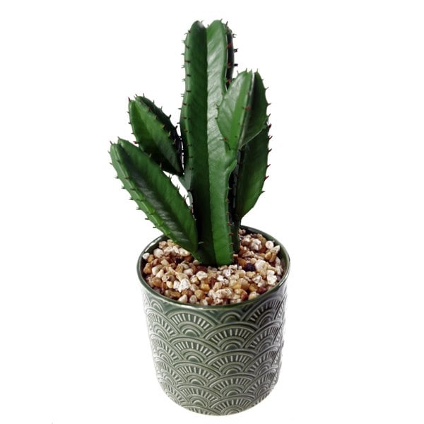 Leaf 23cm Artificial Cactus with Green Ceramic Planter