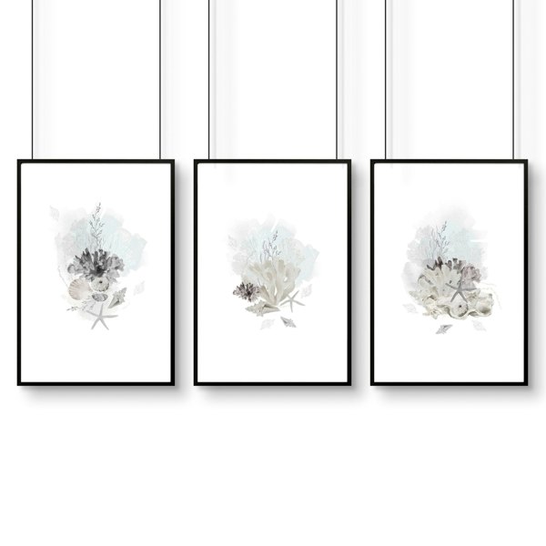 Home Office wall art | set of 3 Coastal Seashells artwork prints