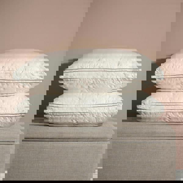 Soak&Sleep 60% Duck Down Pillows