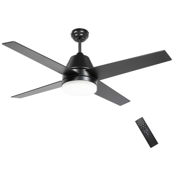 Ceiling Fan With Light