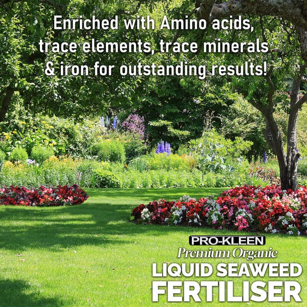 ProKleen Pro-Kleen 10L Liquid Seaweed Fertiliser Ascohyllum Seaweed Extract for Grass Vegetables Fruit Flowers Shrubs Lawns Trees