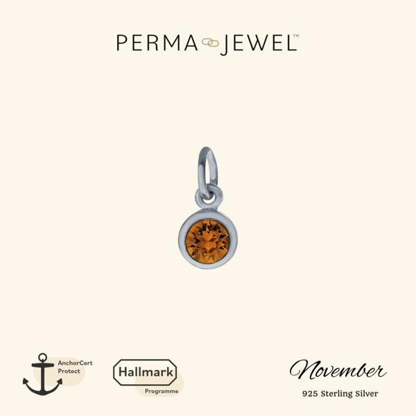 Sarah Layton November Birthstone Charm - Silver - PJ-9252015