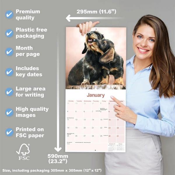 Wire Haired Dachshund Calendar 2027, Wall Calendars, Month To View, Dogs, Gift
