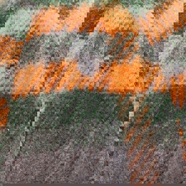 Brushed Check Baseball Cap | Premium Wool Blend | Adjustable Fit