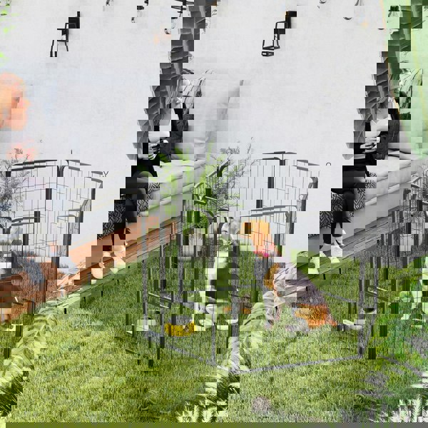 D06-250V02BK