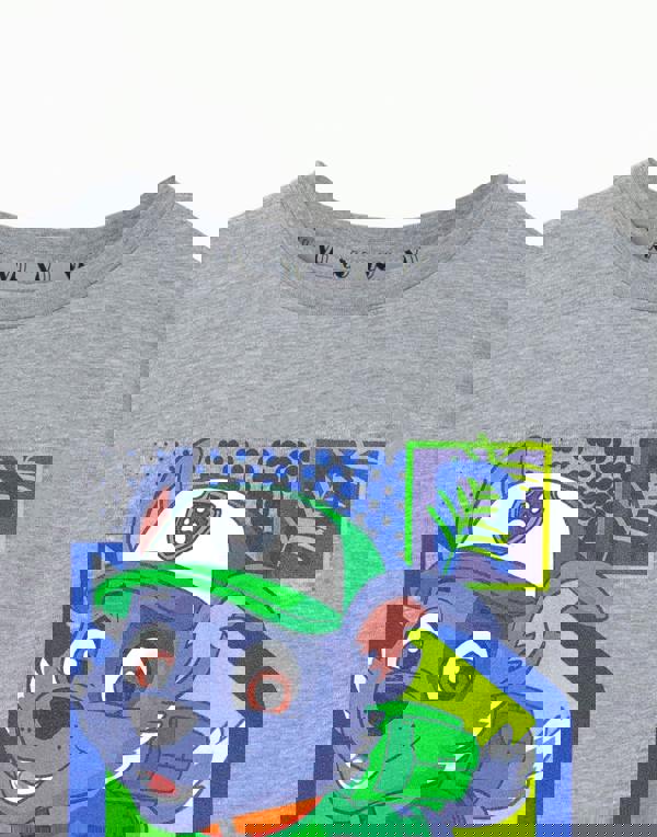 Paw Patrol Boys Grey Rocky Short Sleeved T-Shirt