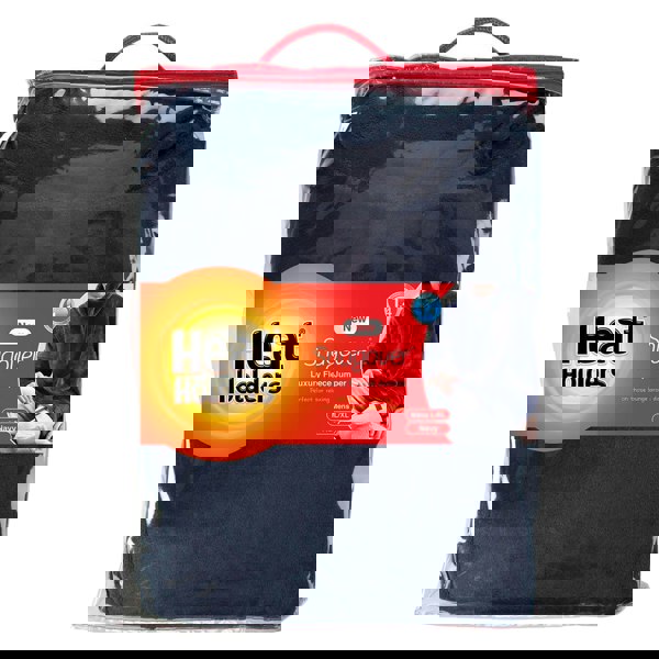 t4option1_1