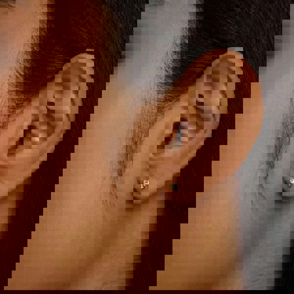 Ted Baker Sinaa Rose Gold Tone Mini Crystal Stud Earrings TBJ3124-24-02