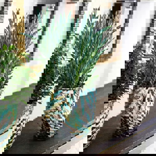 #color_botanical-fern