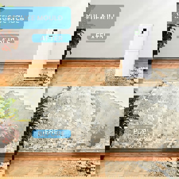 MONHOUSE 12L/Day Digital Dehumidifier - Sleep Mode 24HR Timer Portable Quiet