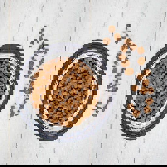 Clinivet Adult Large Breed Dog Food