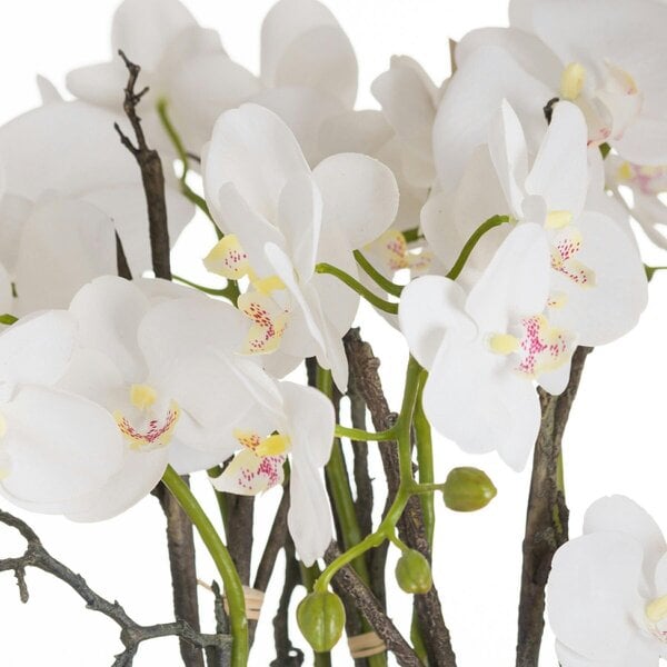 Wyld Haus Artificial Plant Large Stone Potted Orchid With Roots