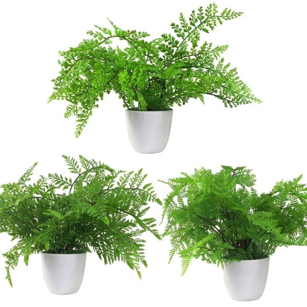 Leaf Pack of 3 x 30cm Artificial Ferns - Southern Wood - Lady and Royal - Potted