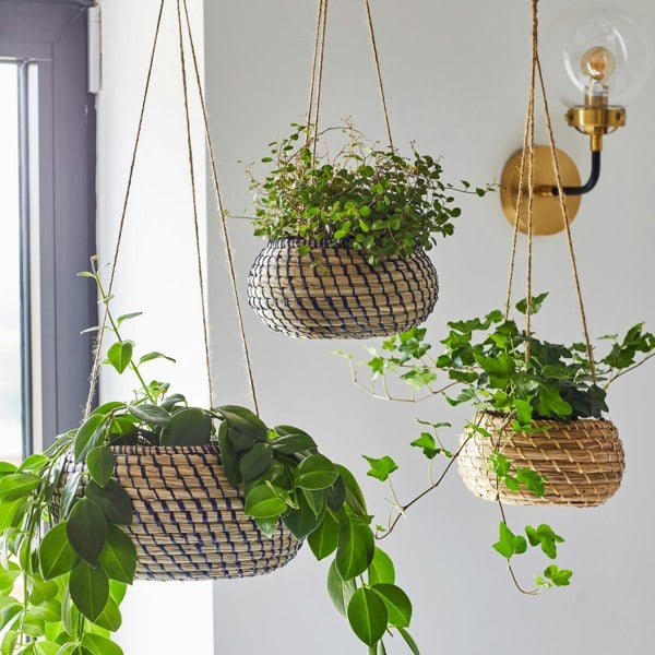 Ivyline Hanging Seagrass Planter Set of 2