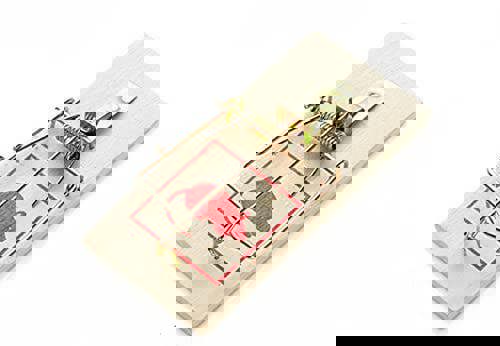 PEST POLICE 8pk Traps | Durable Wood for Protecting Your Home Suitable for Larger violations | Includes Pest Control eBook