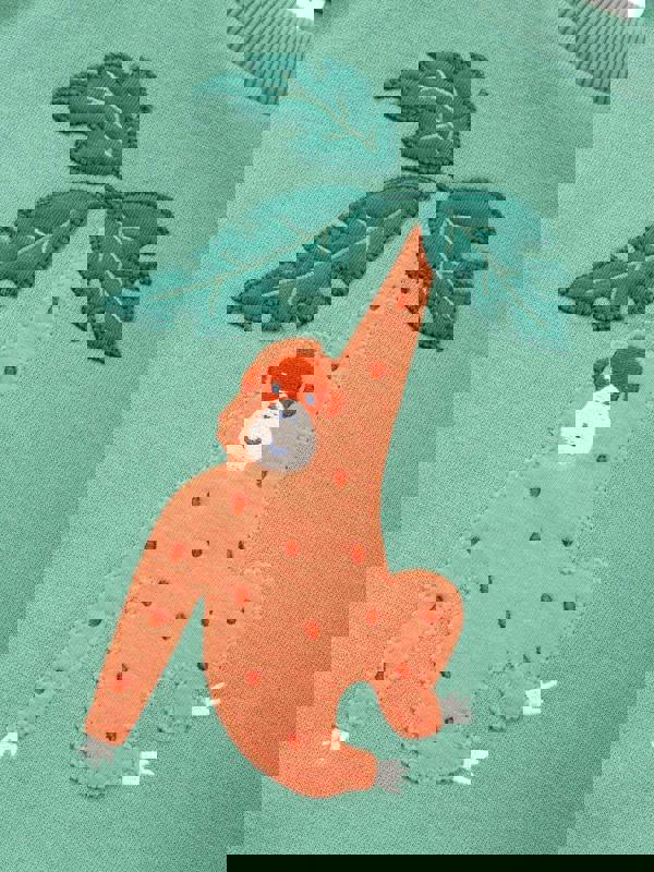 Kite Boys Organic Orangutan Sweatshirt