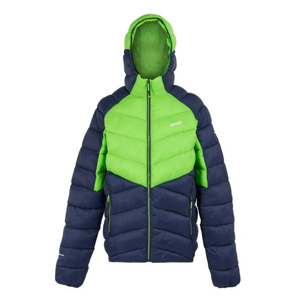 Regatta Mens Dalent Hooded Insulated Jacket - Green Flash/Navy - 