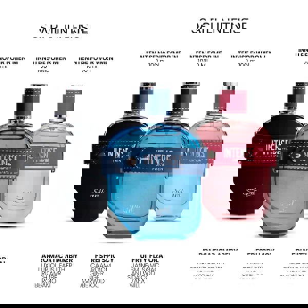 Sapil Intense Man 100ml Eau de Toilette grouped with variants