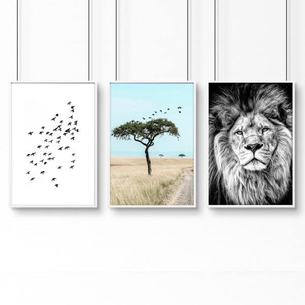 Living Room Wall Art Canvas | Set of 3 African Wildlife Wall art Prints