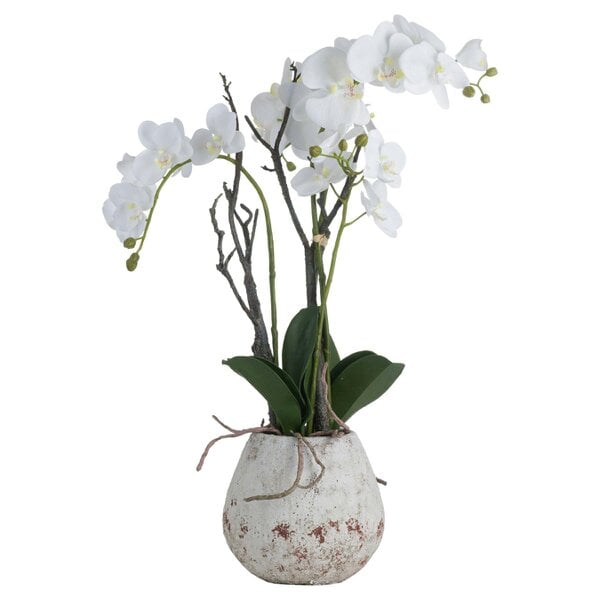 Hill Interiors Orchid In Stone Pot - White - 70 x 46 x 46cm - White - 100% Plastic