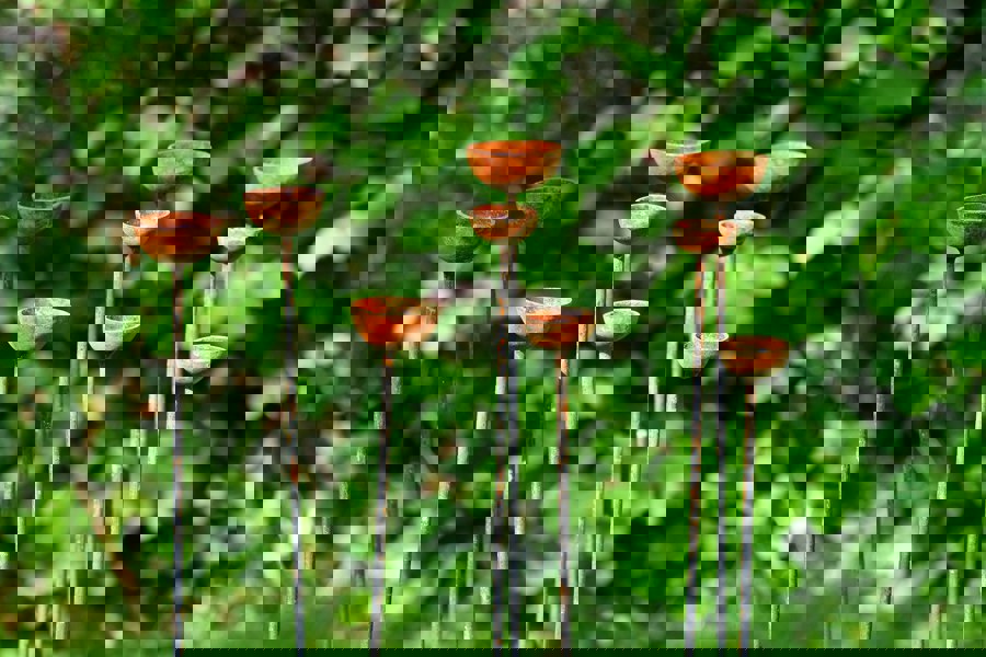 Rain Catcher Clusters