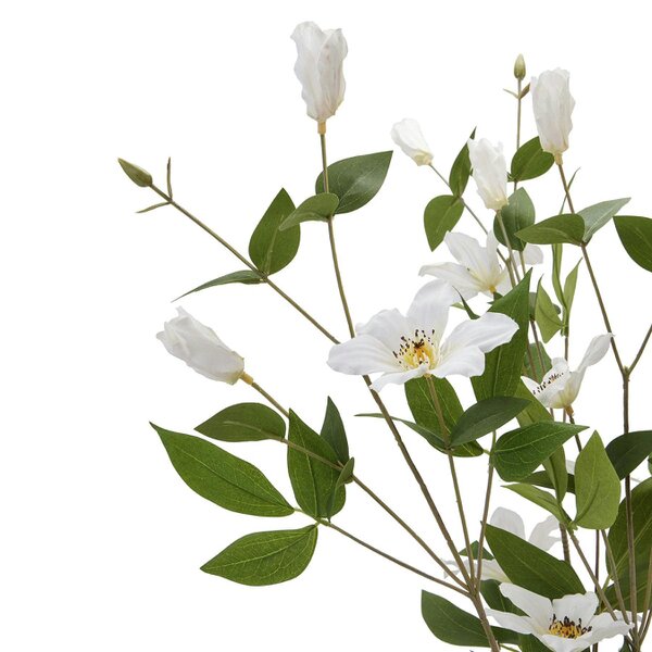Wyld Haus Set of 3 Artificial Flower White Florida Clematis